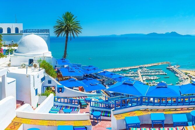 Private Tour Bardo Museum, Carthage, Sidi Bou Said and Medina - Key points to know before booking