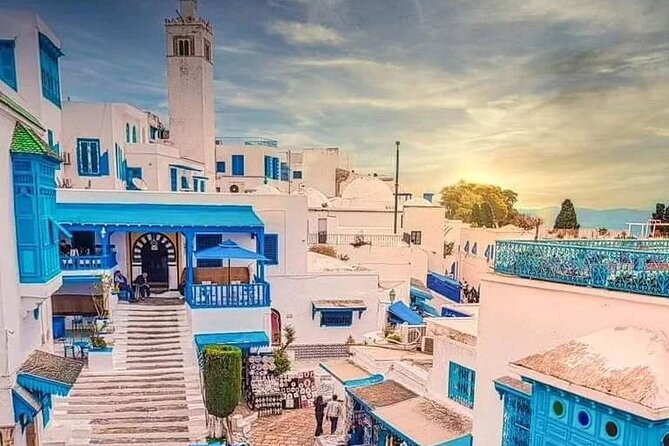 Private Tour Bardo Museum, Carthage, Sidi Bou Said and Medina - The Baths of Antoninus and Roman Carthage