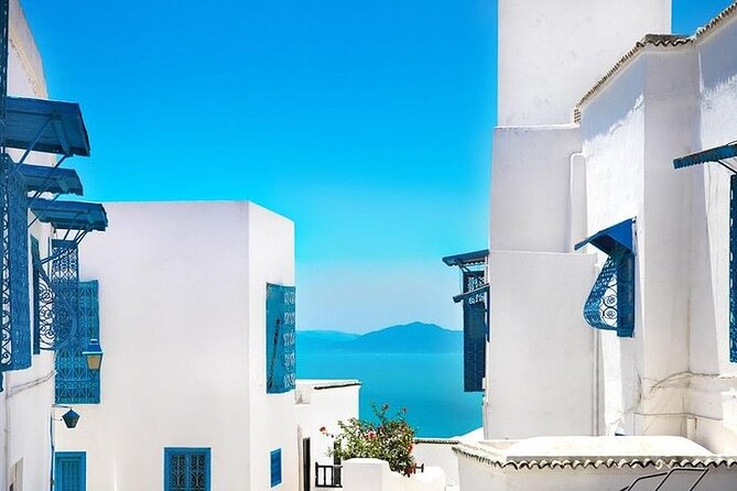 Private tour: Medina,Carthage ,Sidi Bou Said, Bardo Museum+lunch - Key points to know before you book