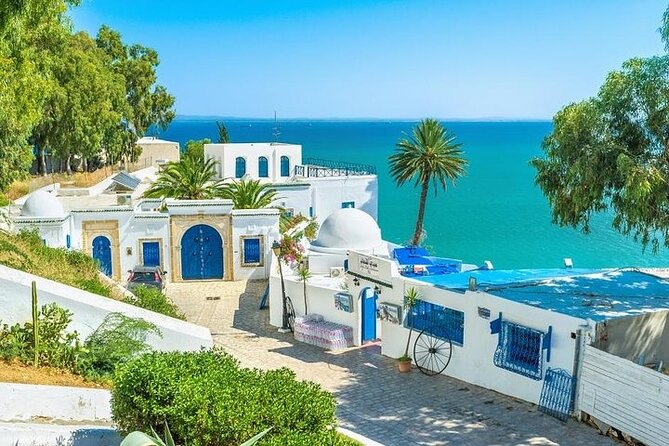 Private tour: Medina,Carthage ,Sidi Bou Said, Bardo Museum+lunch - Carthage, where ruins meet the coast