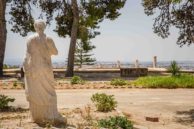 Private Walking Tour of Carthage Archaeological Site in Tunisia - Five things to know before walking through Carthage