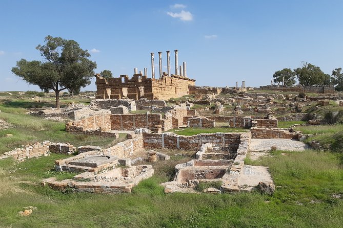 Roman Archeology Guided Tour Thuburbo Majus & Uthina - The guide and the value of a private vehicle