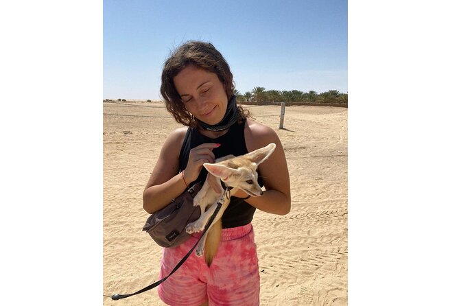 Sahara 2 Days Tour VIP In Tunisia | Guided FUN | PICKUP ALL City - Choose the night carefully