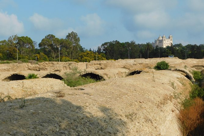 Self guided bike tour of Carthage archeological site - The main archaeological site and Byrsa Hill