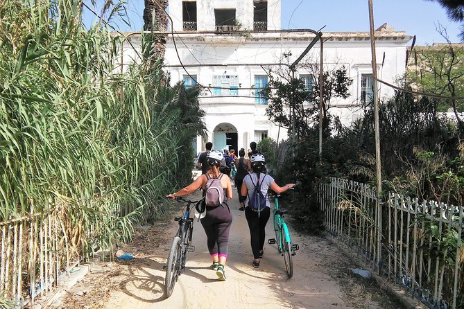 Self guided bike tour of Carthage archeological site - Roman villas and the theatre