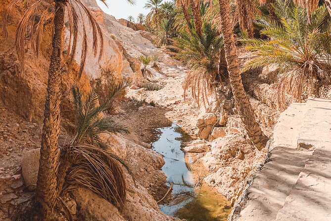 Tamerza, Chebika, Mides Canyons and Star Wars Full-Day Tour - Leaving Tozeur for the mountain oases