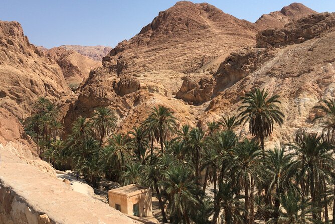 Tamerza, Chebika, Mides Canyons and Star Wars Full-Day Tour - Who will get the most from this tour