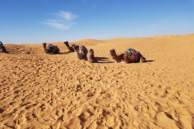 Tatouine - Cheneni - Ksar Ghuilaine - Matmata: 2 days visit - Key points before you reserve