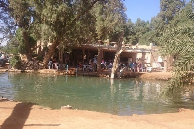 Tatouine - Cheneni - Ksar Ghuilaine - Matmata: 2 days visit - Guides, drivers, and the human side of the trip