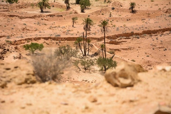 The three desert and mountain oases - The Reg: a hard, rocky desert