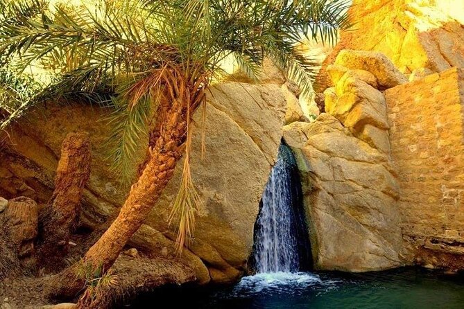The Tunisian South between Oasis and Mountain: 3 Days / 2 Nights Douz and Tozeur - Key points to know before booking