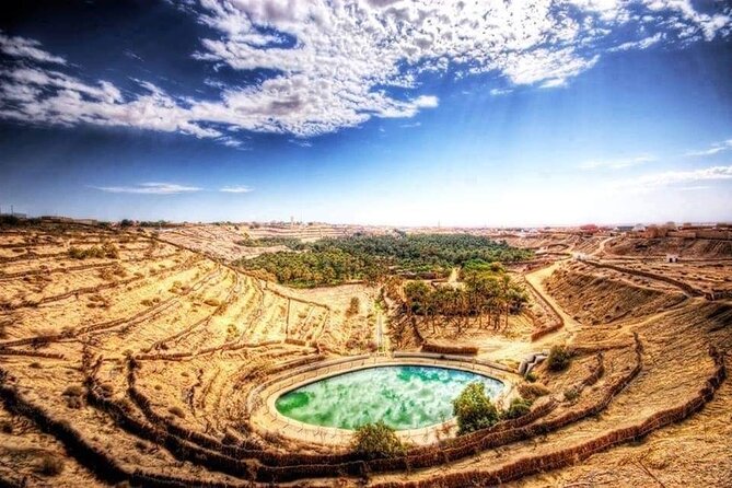 The Tunisian South between Oasis and Mountain: 3 Days / 2 Nights Douz and Tozeur - Tozeur: palms, dates, and sun-baked brick