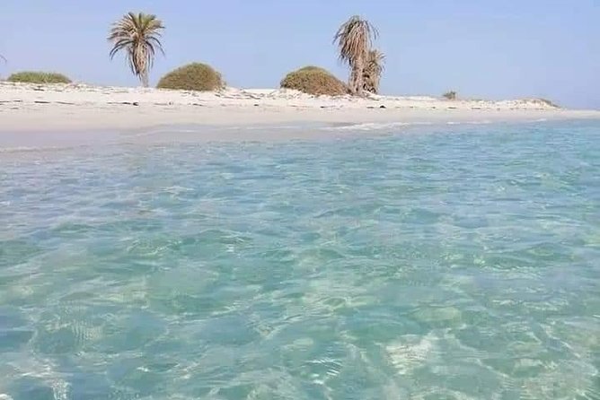 Tour of the island of Djerba the island of Lotophages - Why Djerba works well as a half-day outing