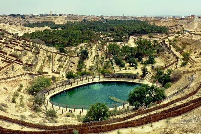 Tozeur and the mountain Oasis - Key points to know before you book