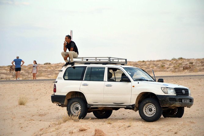 Tozeur and the mountain Oasis - Chott Djerid and the three deserts