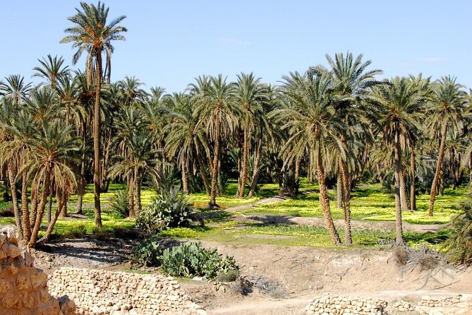 Tozeur and the mountain Oasis - The Nefta basket and Tozeur’s old medina
