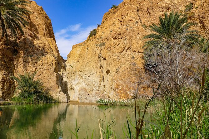 Tozeur Private Half-Day Tour: Tamerza, Chebika and Mides Canyons - Leaving Tozeur at 8:00 in a private 4x4