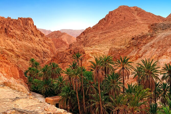 Tozeur Private Half-Day Tour: Tamerza, Chebika and Mides Canyons - Who will enjoy this morning most