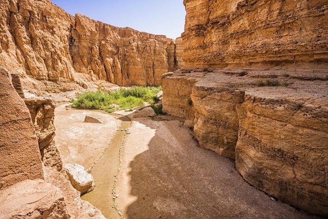 Tozeur: Tamerza, Chebika, Mides and Star Wars locations Day Tour - Chott el Jerid and Luke’s half-submerged home