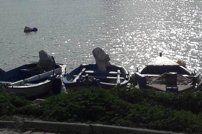 Tunis, Carthage and Sidi Bou Said Self-Guided Excursion from Hammamet - Lunch at La Goulette or Sidi Bou Said