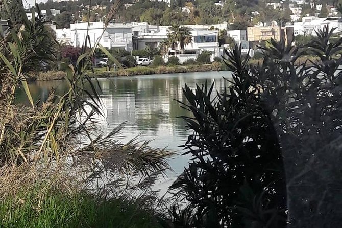 Tunis, Carthage and Sidi Bou Said Self-Guided Excursion from Hammamet - Timing, comfort, and practical trade-offs