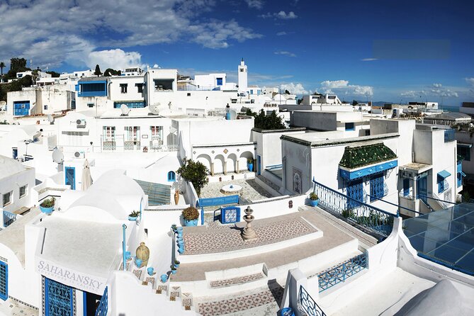 Tunis: Carthage, Bardo Museum, Sidi Bou Said & Medina Group Tour - Key points to know before booking
