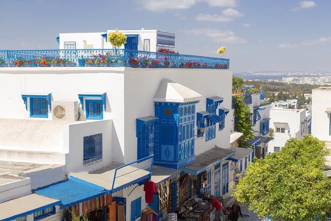Tunis: Carthage, Bardo Museum, Sidi Bou Said & Medina Group Tour - Carthage: start with the city that shaped the region