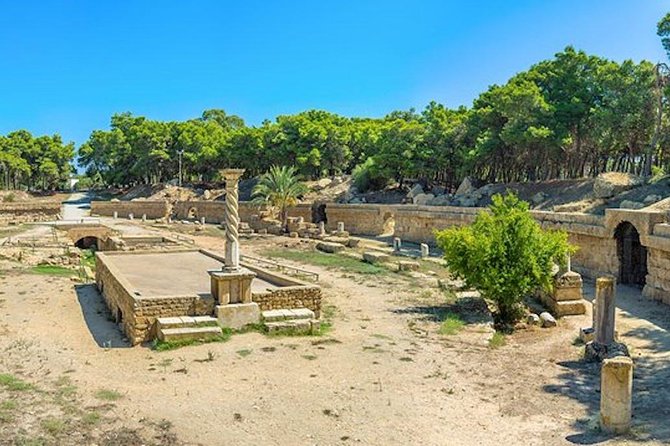 Tunis: Carthage, Bardo Museum, Sidi Bou Said & Medina Group Tour - The Bardo Museum and Tunisia’s finest mosaics