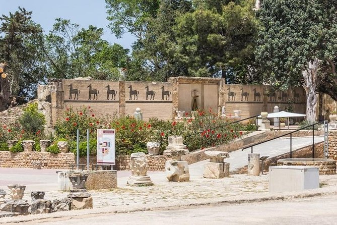 Tunis Group Tour: Carthage, Sidi Bou Said, Bardo museum & Medina - Carthage: two hours among Punic and Roman ruins