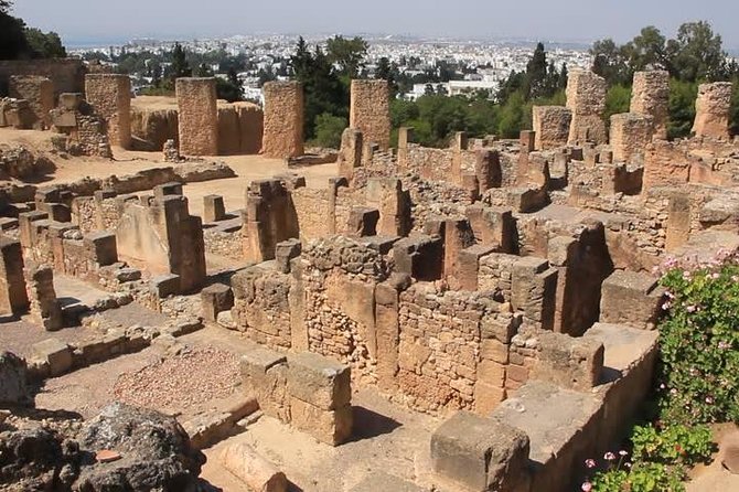 Tunis, Sidi Bousaid and Carthage day trip from Hammamet - Is $116.30 good value?