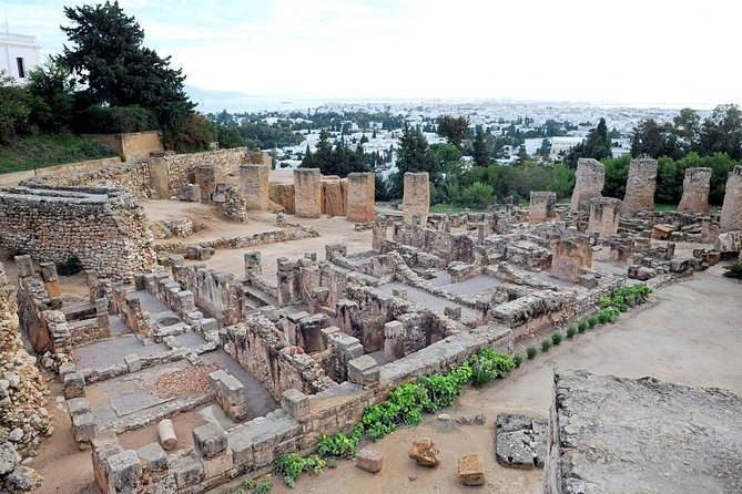 Tunis, Sidi Bousaid and Carthage Day Trip from Monastir - Who will get the most from this day trip?