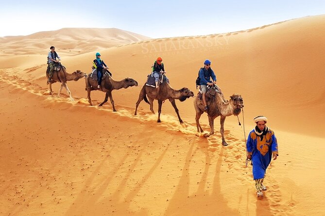 Tunisia Sahara Desert Camel Ride in Douz - Key points to know before riding