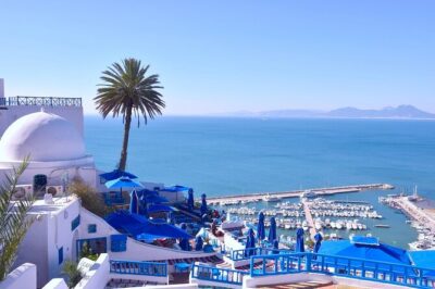 Unveiling the Beauty of Sidi Bou Said and Carthage Private Tour