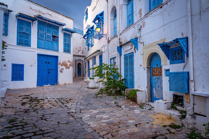 Unveiling the Beauty of Sidi Bou Said and Carthage Private Tour - Transport, timing, and the private format