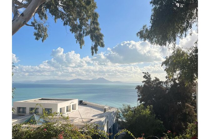 VIP Tour: Tunis Medina/Bardo, Sidi Bou Said, Carthage |PICKUP ALL - Carthage, where the ruins need more than a quick glance
