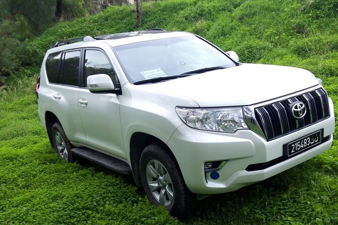 VIP transfer between Tunis Carthage Airport and a hotel in Tunis - Key points to know before booking