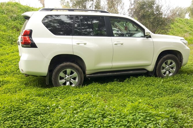 VIP transfer between Tunis Carthage Airport and a hotel in Tunis - What the vehicle and extras mean for you