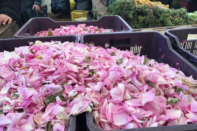 Walking city tour - The Central Market and the sound of daily life