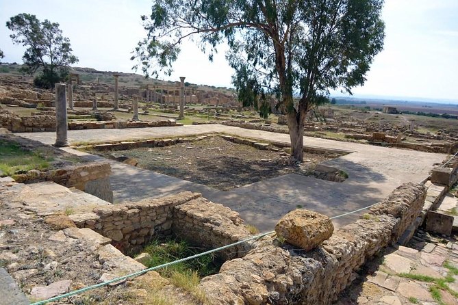 Zaghouan, Thuburbo Majus and Dougga Private Self-Guided Excursion from Hammamet - The guide question: independence or added support?